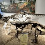 2023OTRA_750 (May 07, 2023)